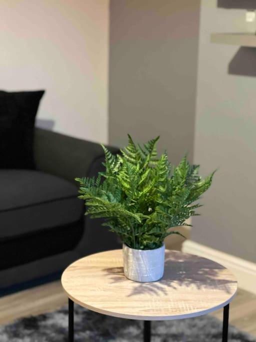 ברמינגהאם Flaxton-Luxurious Home Near Nec, Bhx מראה חיצוני תמונה